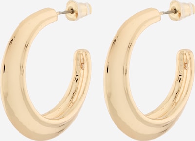 STEVE MADDEN Náušnice - zlatá, Produkt