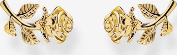 Thomas Sabo Earrings in Gold: front