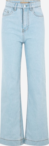 Denim Project Wide leg Jeans 'FREJA' in Blue: front