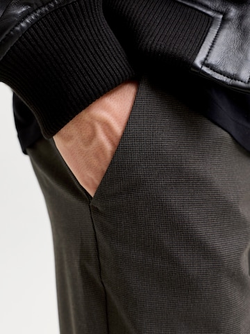 JACK & JONES regular Παντελόνι τσίνο 'JPSTollie Connor' σε καφέ
