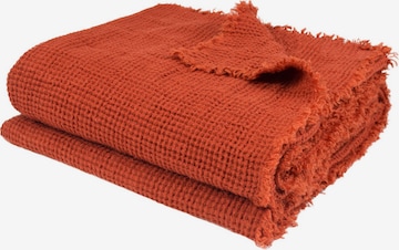 ZOEPPRITZ Blankets 'Honeybee' in Red: front