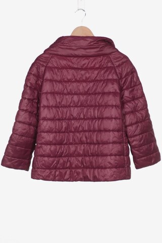 LIEBLINGSSTÜCK Jacket & Coat in S in Purple