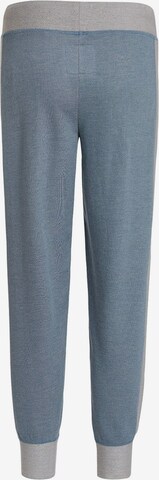 Daily’s Tapered Broek in Blauw