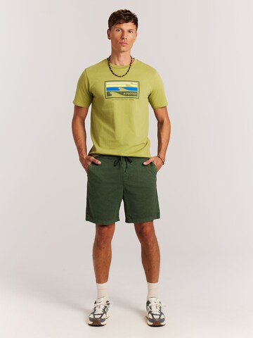 PROTEST Regular Hose 'PRTNivel' in Grün