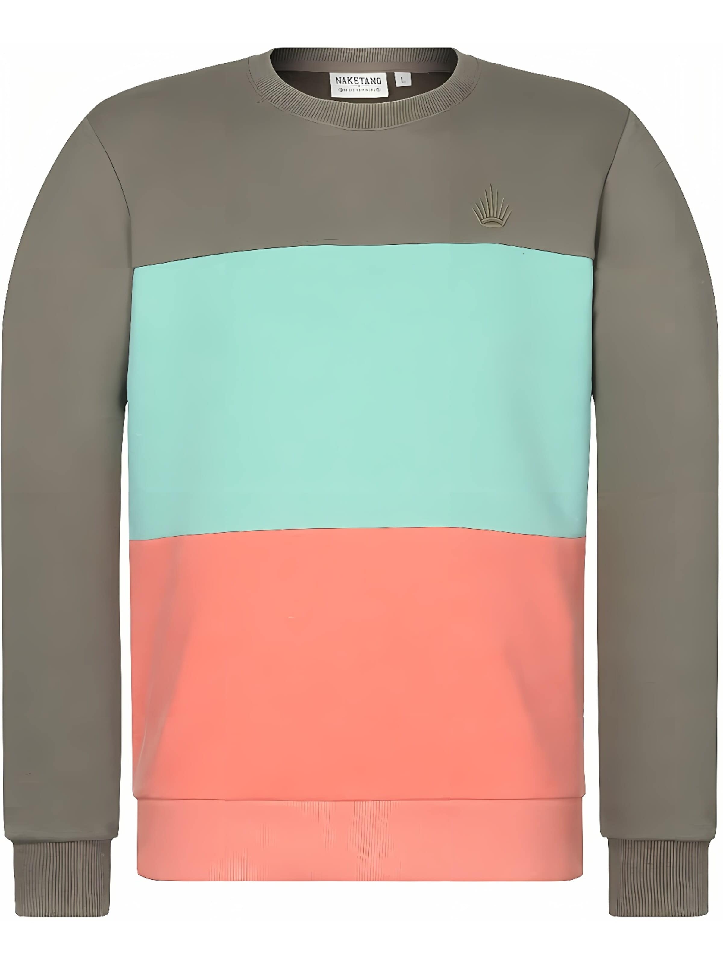 naketano Sweatshirt in Green: front
