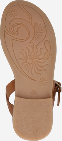 CLARYS Sandals 'NIÑA' in Brown