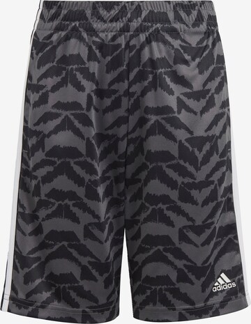 ADIDAS SPORTSWEAR Regular Workout Pants ' Celebration' in Grey: front