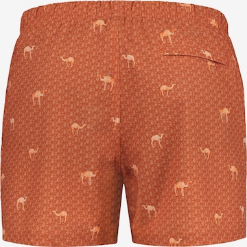 Shorts de bain Shiwi en marron