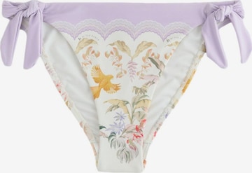 purpurinė B by Ted Baker Bikinis: priekis