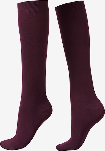 CALZEDONIA Socks in Red: front