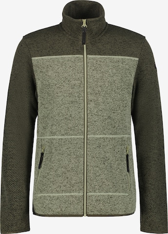 ICEPEAK Fleece Jacket 'AGEN' in Green: front