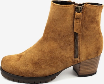 GABOR Ankle Boots in Brown: front