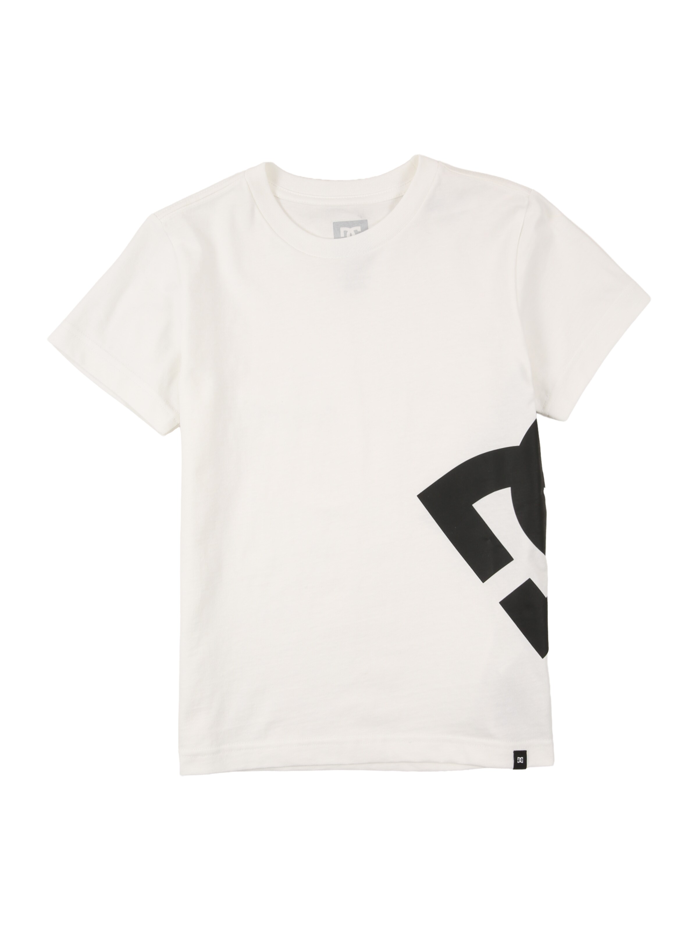 DC Shoes Funkčné tričko 'LANAI' - Biela: predná strana
