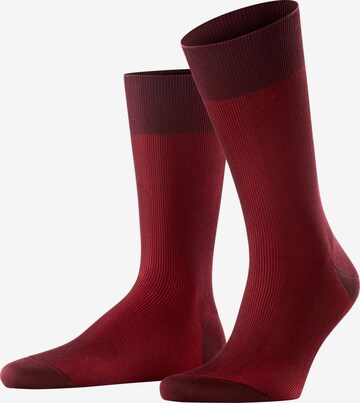 FALKE Socken 'Fine Shadow' in Rot: Vorderseite