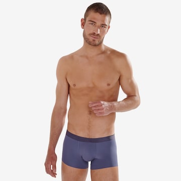 HOM Boxer shorts in Purple: front