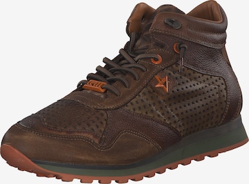 Cetti High-Top Sneakers in Brown: front
