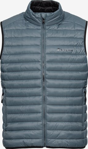 Champion Authentic Athletic Apparel Vest in Blue: front