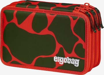 ergobag Bag 'Federmäppchen Maxi Mäppchen' in Orange: front