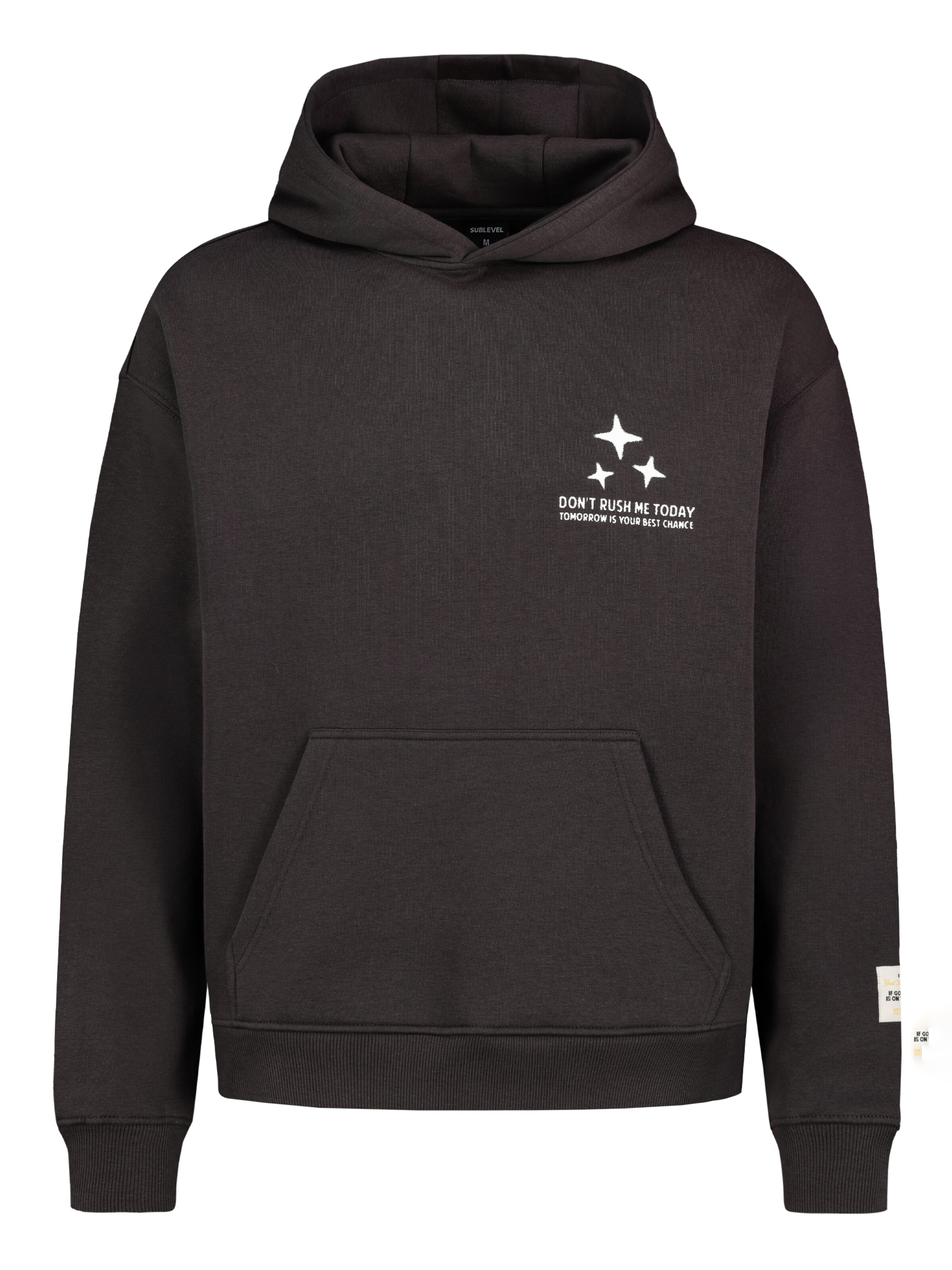 Sublevel Sweatshirt in Braun: Vorderseite