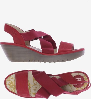 FLY LONDON Sandals & High-Heeled Sandals in 42 in Red: front