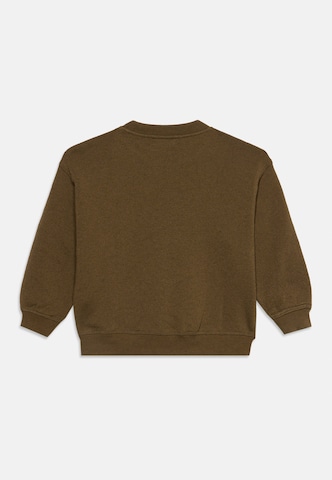 AMERICAN VINTAGE Trui 'EVONA' in Bruin