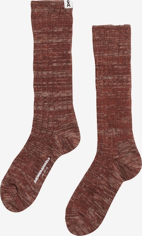 Chaussettes ARMEDANGELS en marron : devant