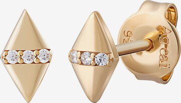 caï Ohrstecker in Gold: Vorderseite