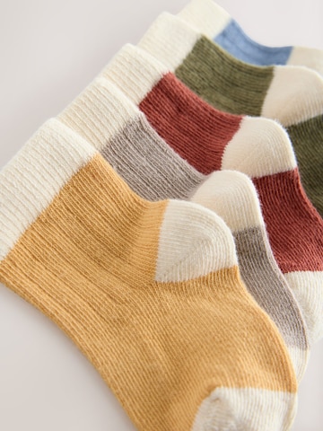 Next Socken in Mischfarben