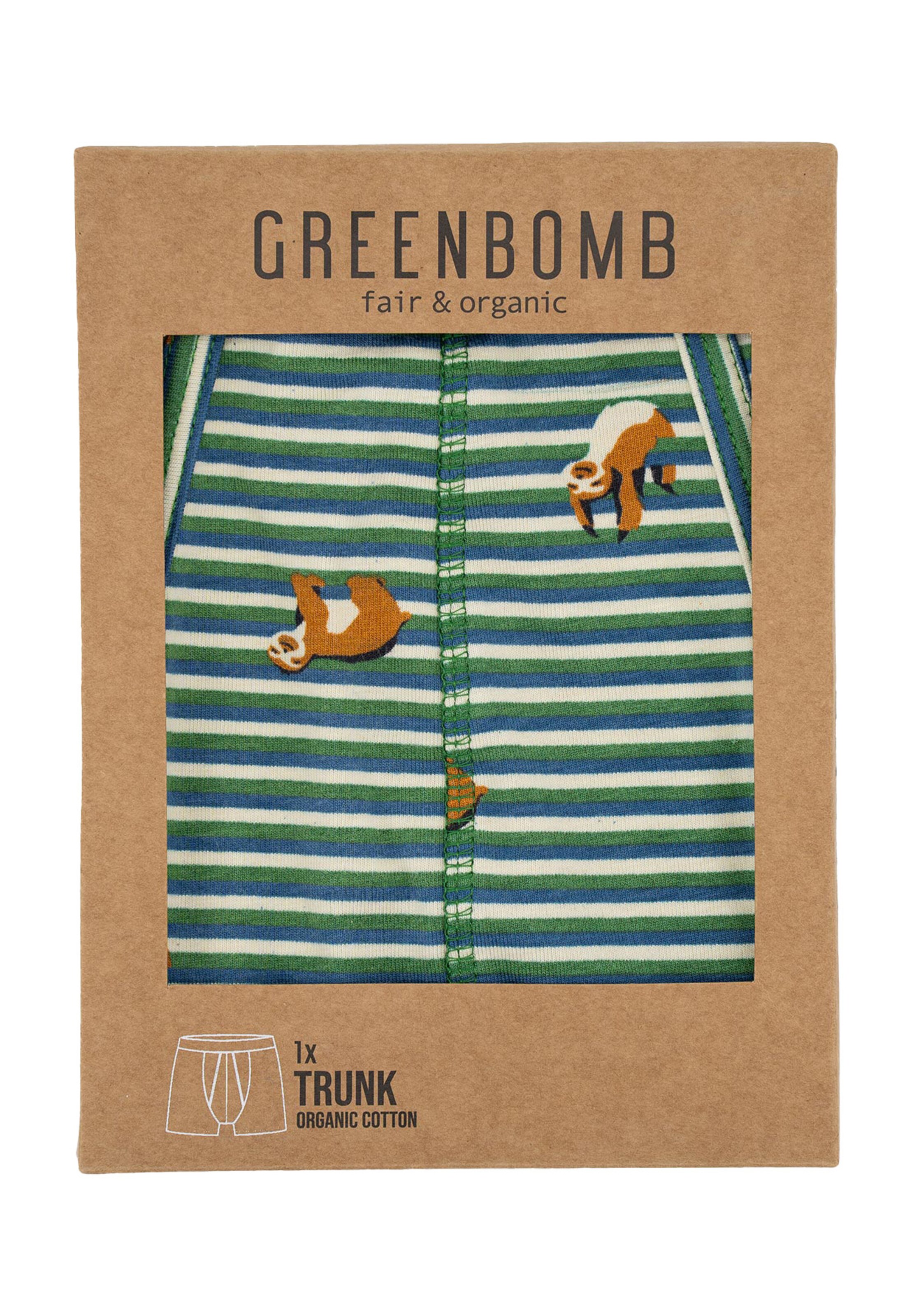 Boxers GREENBOMB en vert