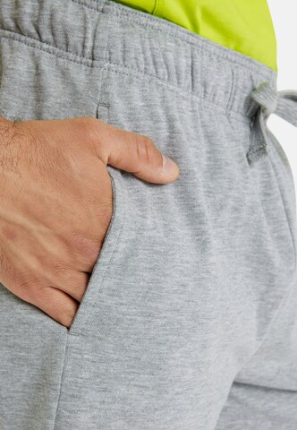 ARENA Regular Trousers 'BERMUDA SOLID' in Grey