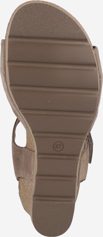 PANAMA JACK Sandals 'Valley' in Grey