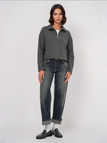 Bigdart Pullover in Grau