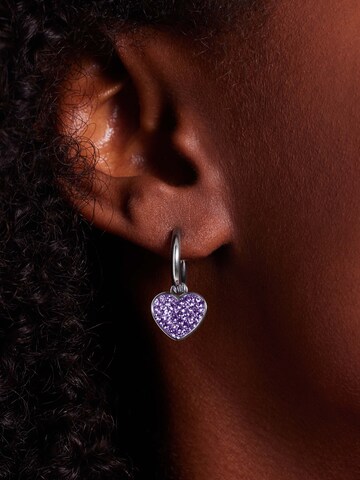 Lucardi Oorbellen in Zilver: voorkant