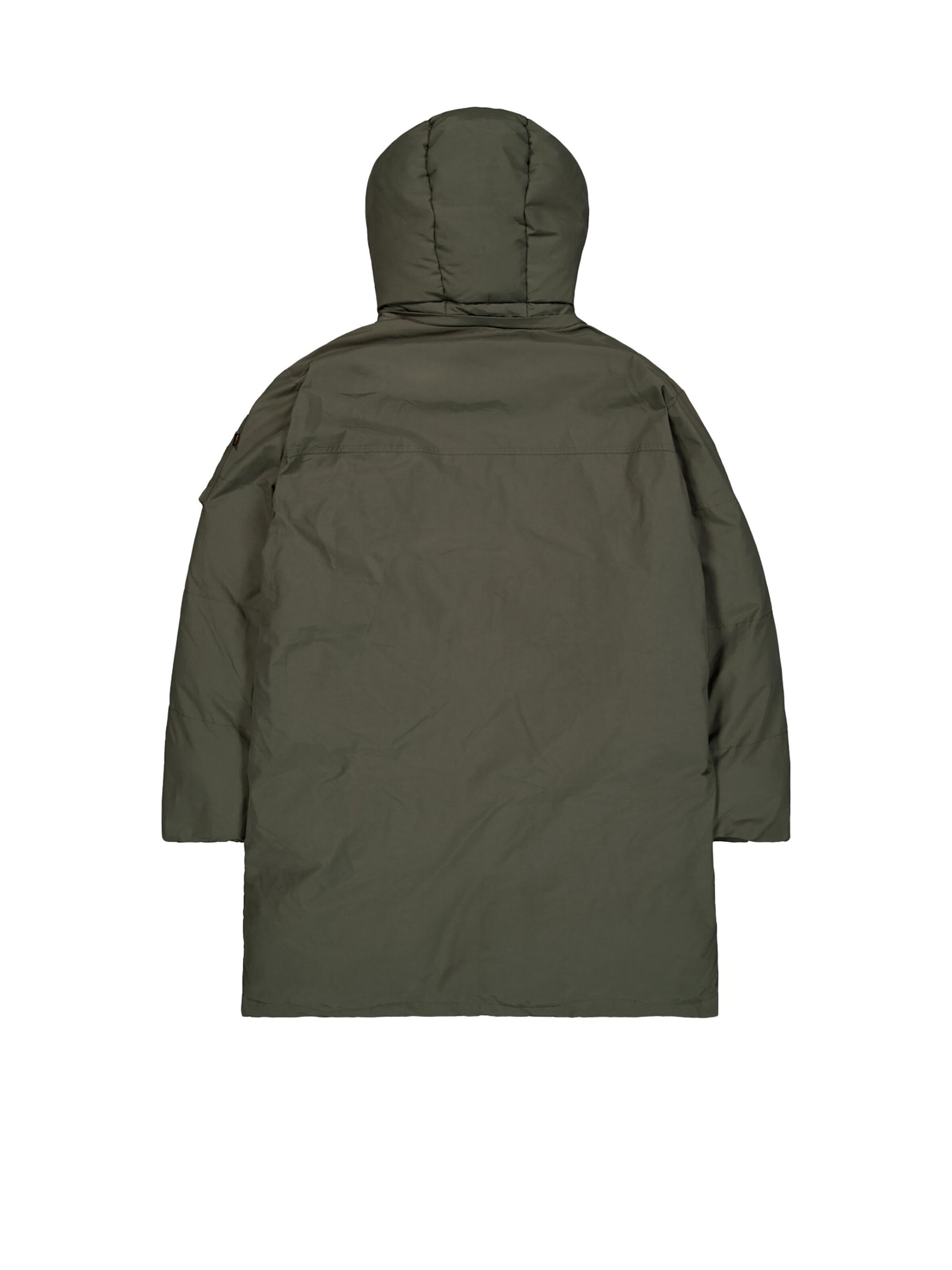 ALPHA INDUSTRIES Зимняя парка в Зеленый