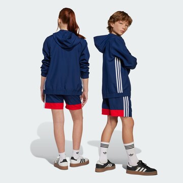 ADIDAS PERFORMANCE Regular Sports trousers 'Tiro 25 Essentials' in Blue