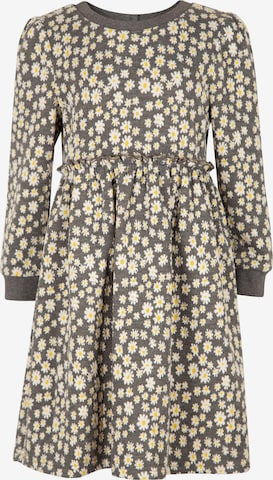 pilka happy girls Suknelė: priekis