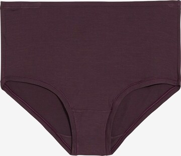 Culotte 'Birta' ARMEDANGELS en violet : devant