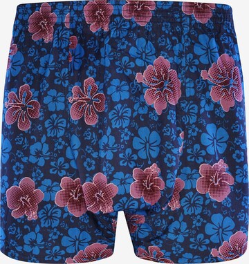 Sugar Pine Boxer shorts ' Aloha Vera ' in Blue