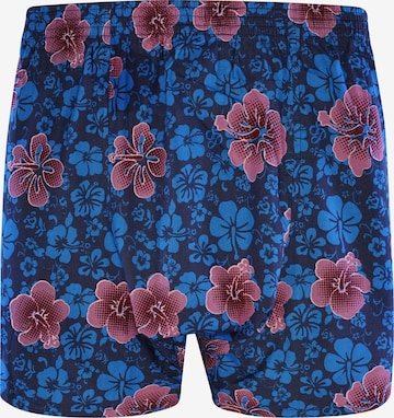 Sugar Pine Boxer shorts ' Aloha Vera ' in Blue