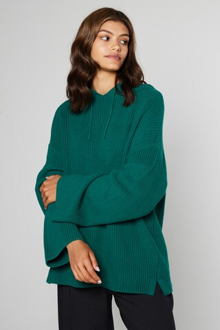 Aligne Pullover 'Gage' in Grün