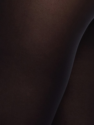 Swedish Stockings - Regular Collants finos 'Hanna' em preto