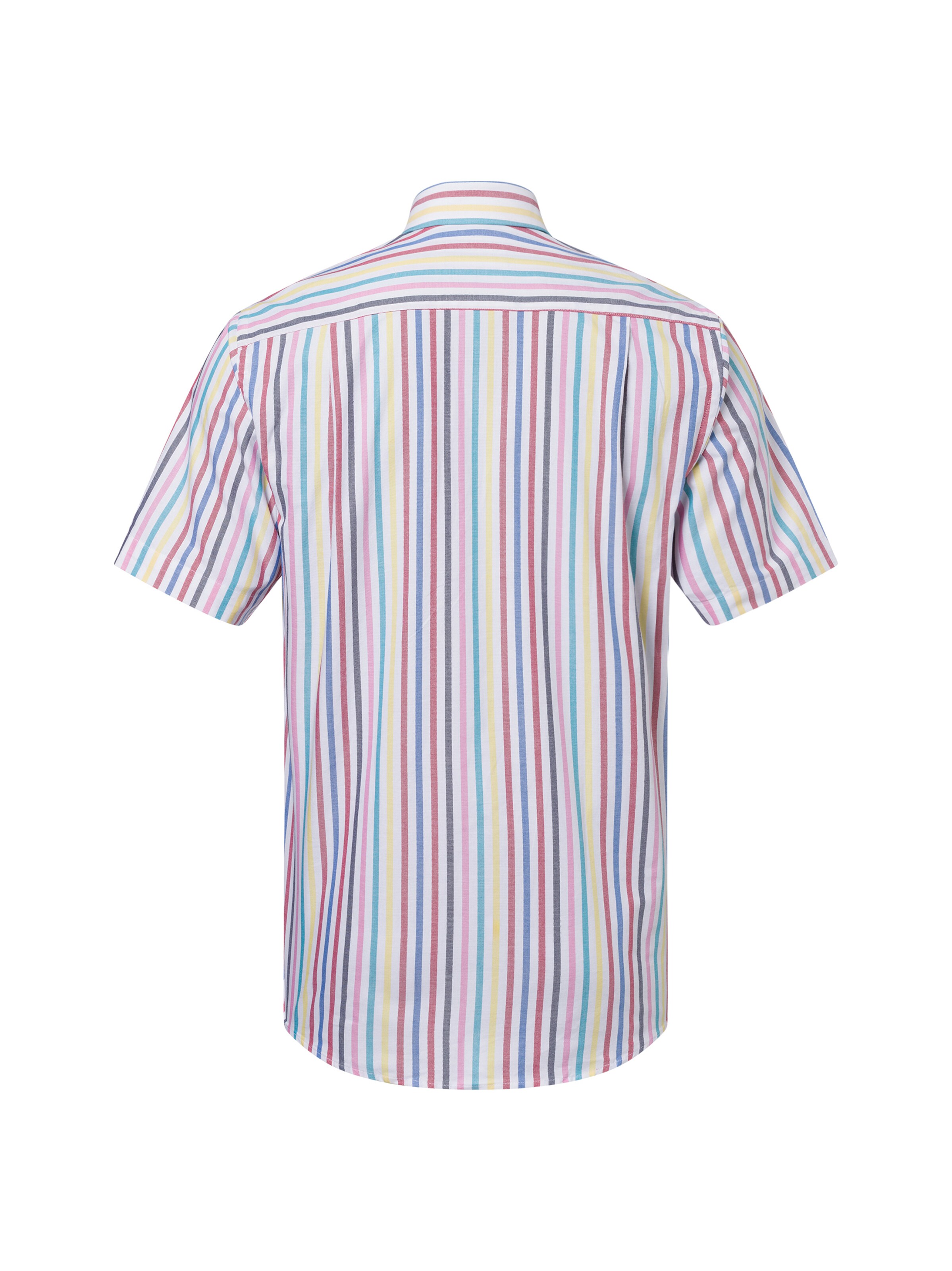 Andrew James Regular fit Button Up Shirt in Mixed colors