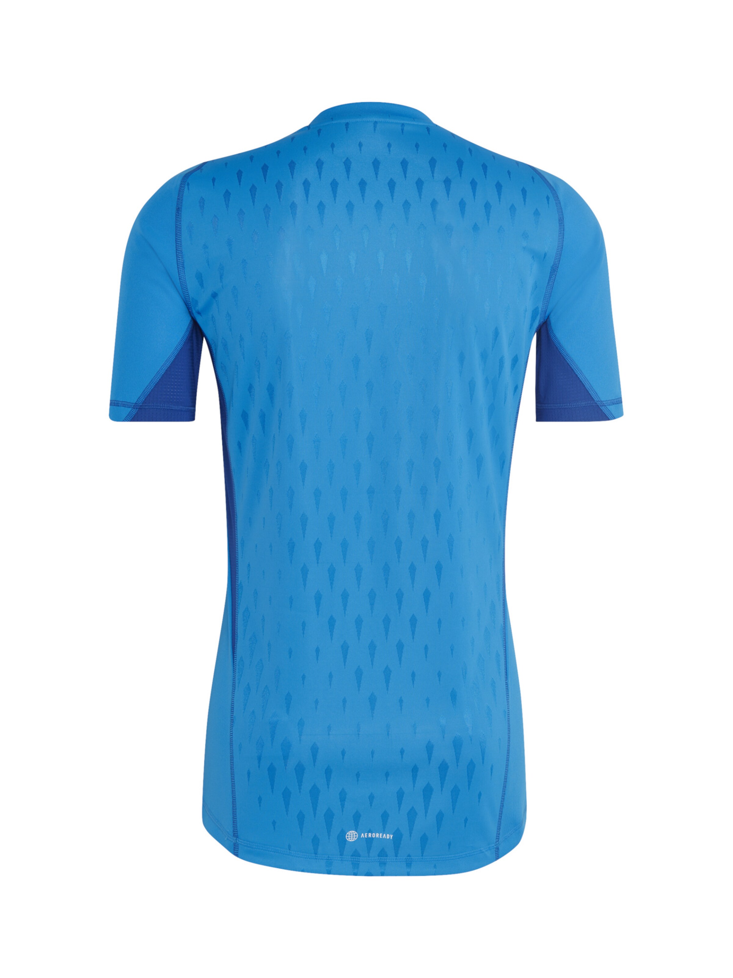 ADIDAS PERFORMANCE Funktionsshirt in Blau