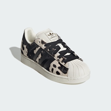 ADIDAS ORIGINALS Sneakers laag 'Superstar II' in Zwart