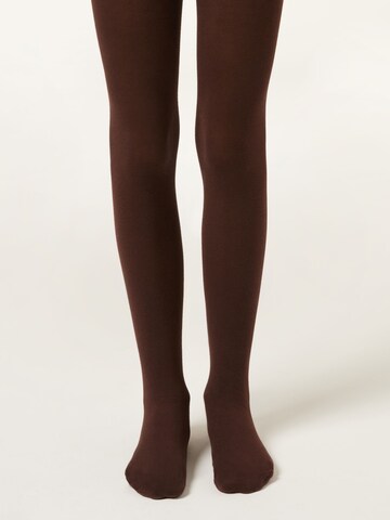 CALZEDONIA Tights in Brown: front