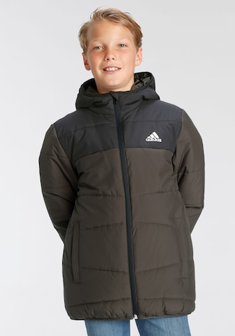 ADIDAS SPORTSWEAR Μπουφάν πεζοπορίας 'Padded Winter' σε πράσινο: μπροστά