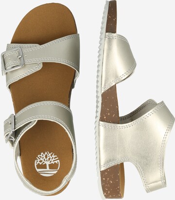 TIMBERLAND Sandals 'Castle Island' in Grey