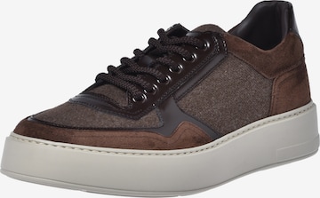 Chaussure à lacets BALDININI en marron : devant