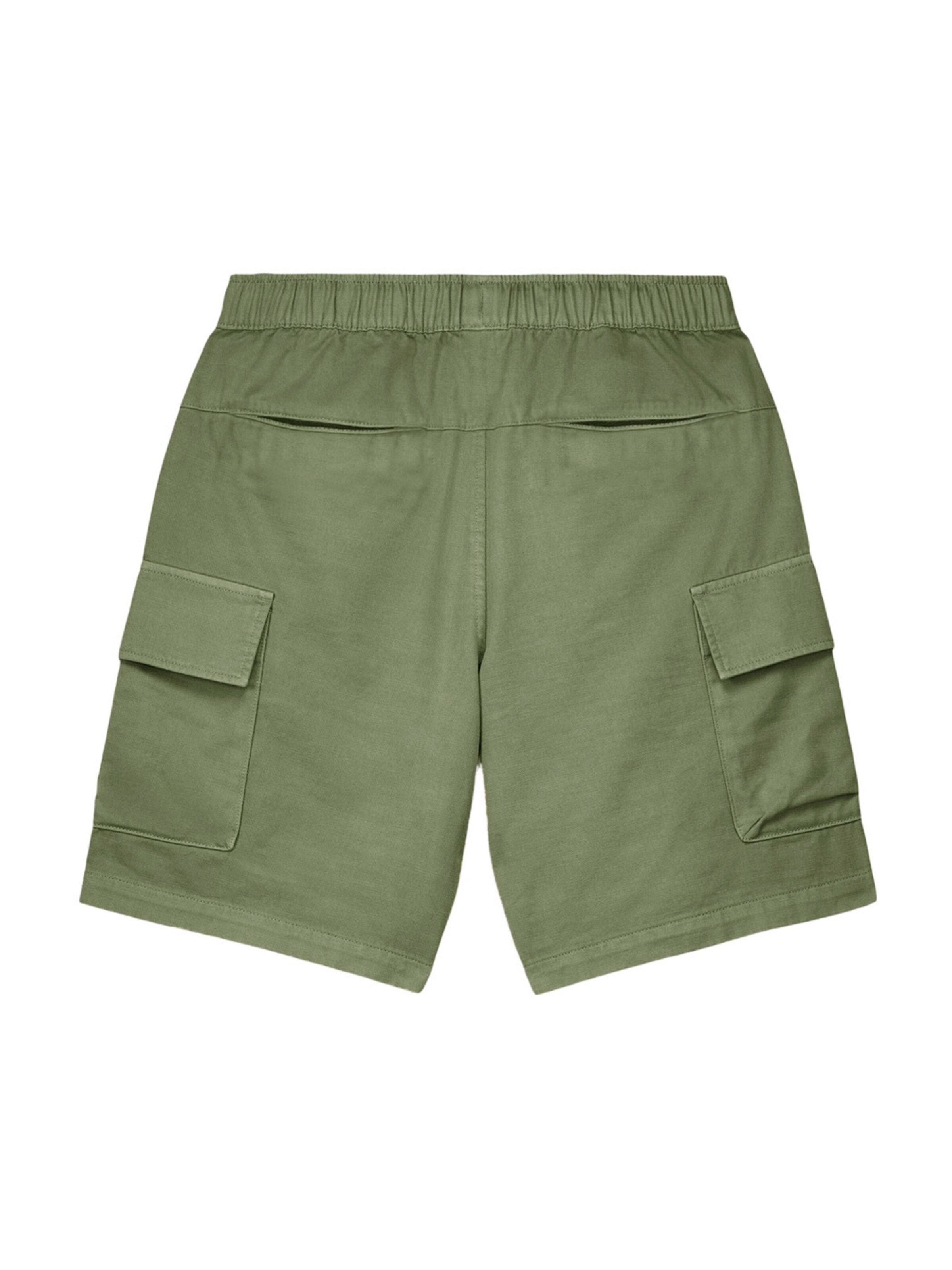 BALMOHK Regular Shorts in Grün