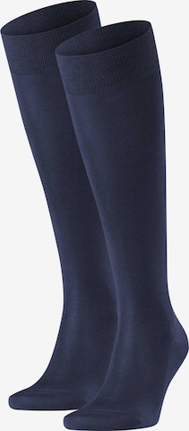 FALKE Knee socks in Blue: front
